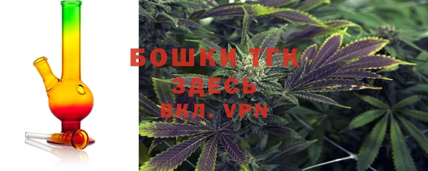 амф Верхний Тагил