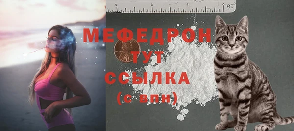 амф Верхний Тагил