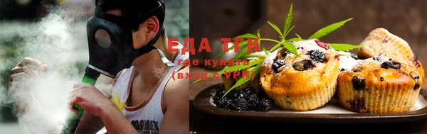амф Верхний Тагил