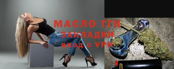 амф Верхний Тагил
