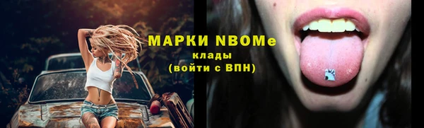 ПСИЛОЦИБИНОВЫЕ ГРИБЫ Вяземский