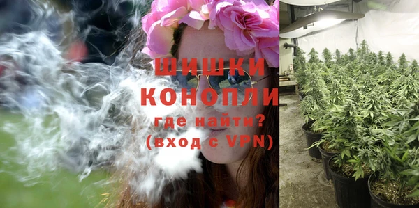 амф Верхний Тагил