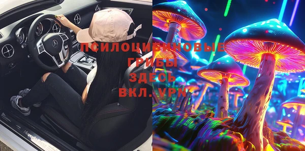 амф Верхний Тагил