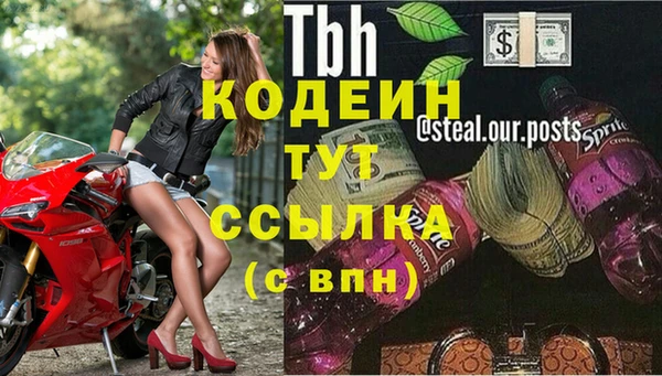 амф Верхний Тагил