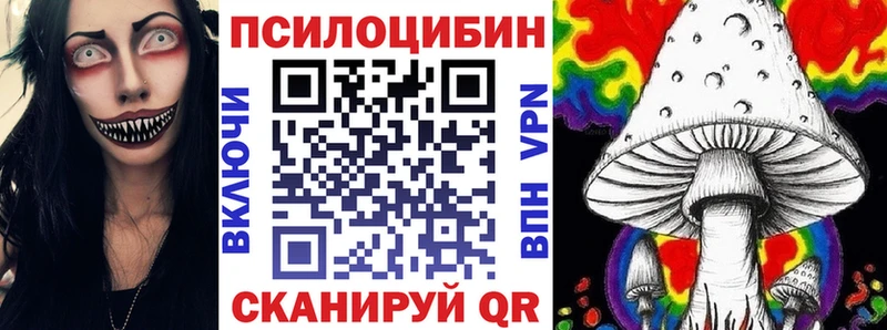 Псилоцибиновые грибы Psilocybe  где купить   Завитинск 